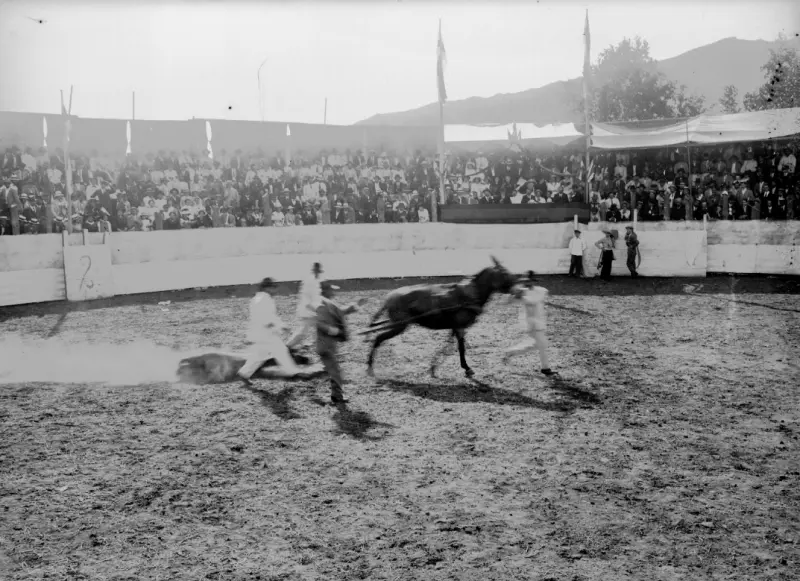 Corrida de toros en Argual